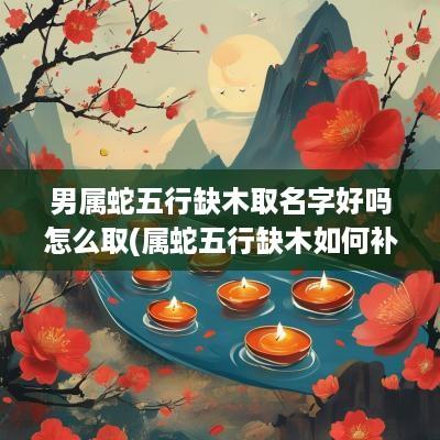 男属蛇五行缺木取名字好吗怎么取(属蛇五行缺木如何补)