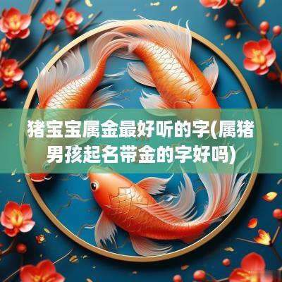 猪宝宝属金最好听的字(属猪男孩起名带金的字好吗)