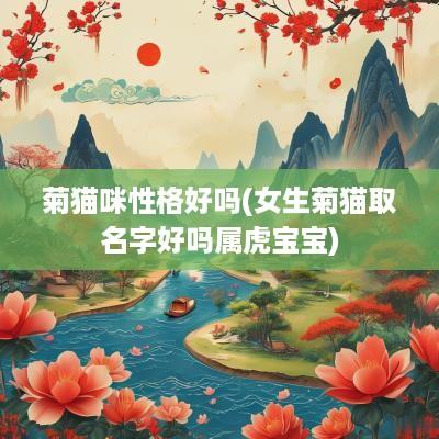 菊猫咪性格好吗(女生菊猫取名字好吗属虎宝宝)
