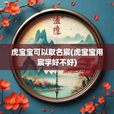 虎宝宝可以取名宸(虎宝宝用宸字好不好)