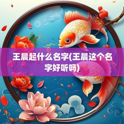 王晨起什么名字(王晨这个名字好听吗)