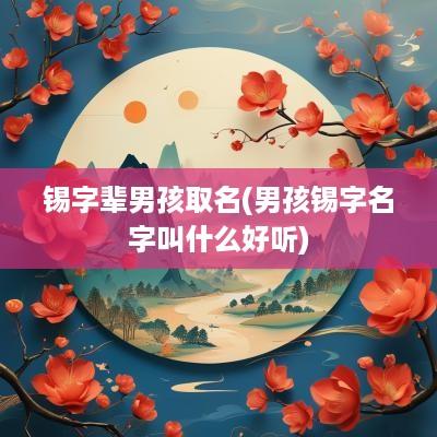 锡字辈男孩取名(男孩锡字名字叫什么好听)