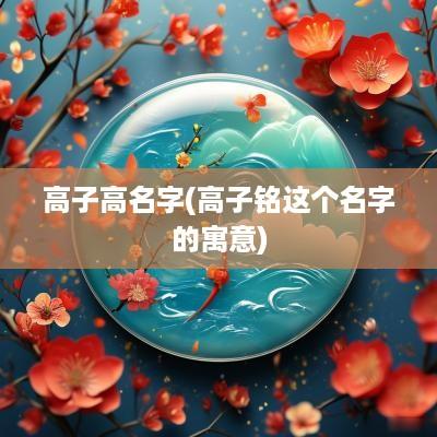 高子高名字(高子铭这个名字的寓意)
