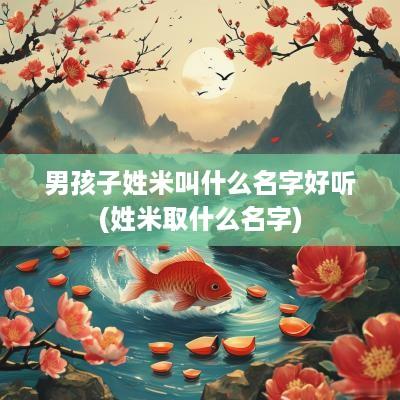 男孩子姓米叫什么名字好听(姓米取什么名字)