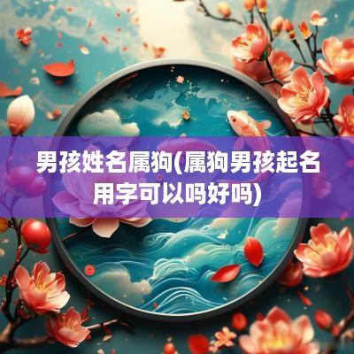 男孩姓名属狗(属狗男孩起名用字可以吗好吗)