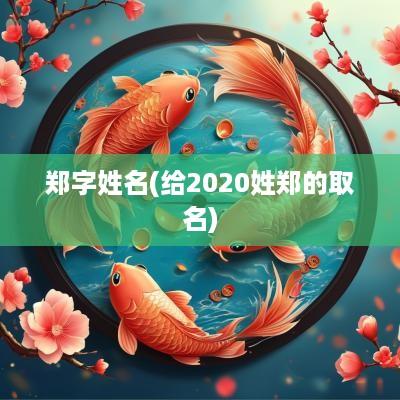 郑字姓名(给2025姓郑的取名)