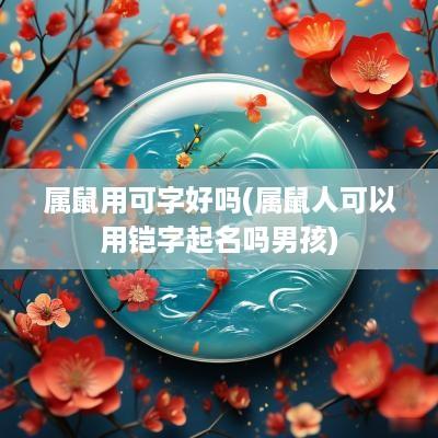 属鼠用可字好吗(属鼠人可以用铠字起名吗男孩)