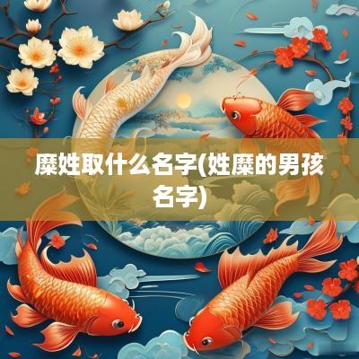 糜姓取什么名字(姓糜的男孩名字)