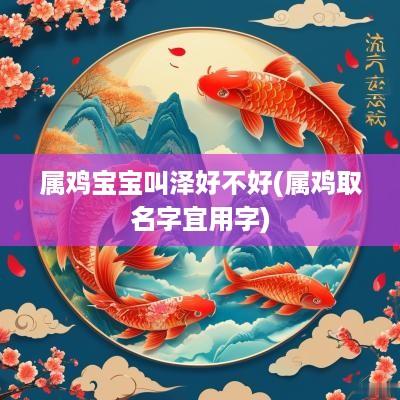 属鸡宝宝叫泽好不好(属鸡取名字宜用字)