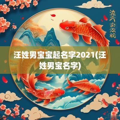 汪姓男宝宝起名字2025(汪姓男宝名字)