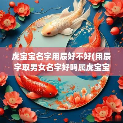虎宝宝名字用辰好不好(用辰字取男女名字好吗属虎宝宝)