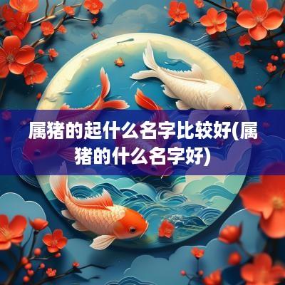 属猪的起什么名字比较好(属猪的什么名字好)