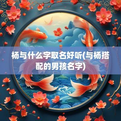 杨与什么字取名好听(与杨搭配的男孩名字)