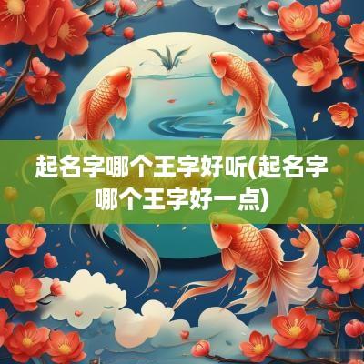 起名字哪个王字好听(起名字哪个王字好一点)