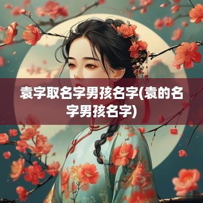 袁字取名字男孩名字(袁的名字男孩名字)