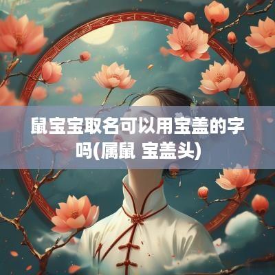 鼠宝宝取名可以用宝盖的字吗(属鼠 宝盖头)