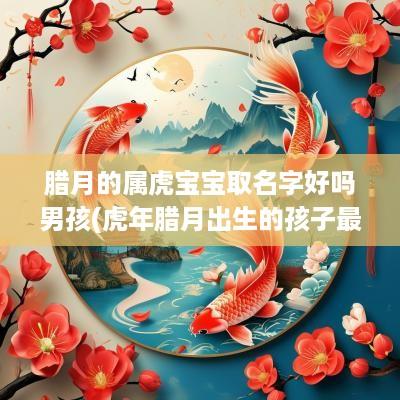 腊月的属虎宝宝取名字好吗男孩(蛇年腊月出生的孩子最好命)