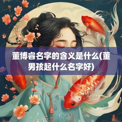 董博睿名字的含义是什么(董男孩起什么名字好)