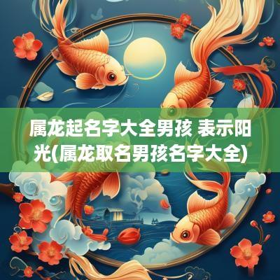 属龙起名字大全男孩 表示阳光(属龙取名男孩名字大全)