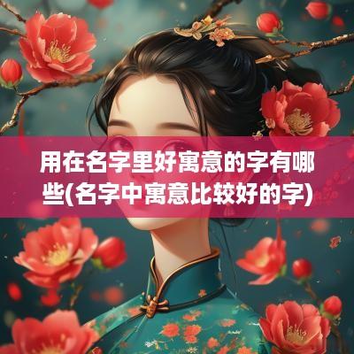 用在名字里好寓意的字有哪些(名字中寓意比较好的字)