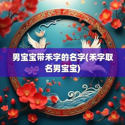 男宝宝带禾字的名字(禾字取名男宝宝)