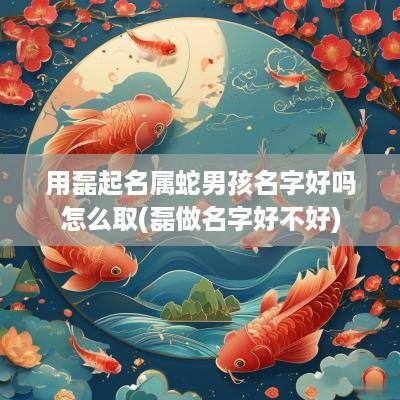 用磊起名属蛇男孩名字好吗怎么取(磊做名字好不好)