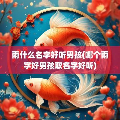 雨什么名字好听男孩(哪个雨字好男孩取名字好听)