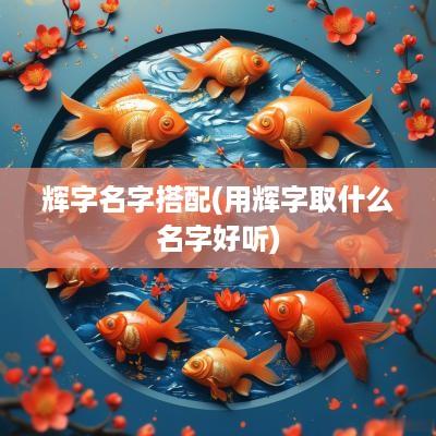 辉字名字搭配(用辉字取什么名字好听)