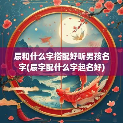 辰和什么字搭配好听男孩名字(辰字配什么字起名好)