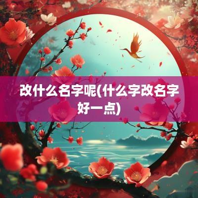 改什么名字呢(什么字改名字好一点)