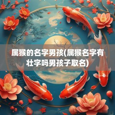 属猴的名字男孩(属猴名字有壮字吗男孩子取名)