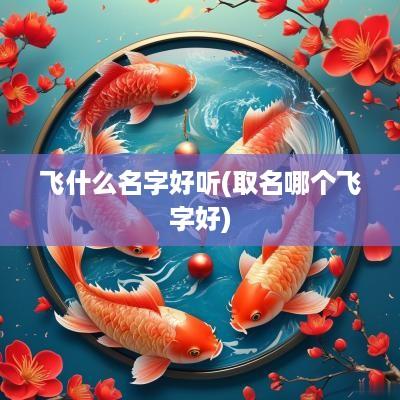 飞什么名字好听(取名哪个飞字好)