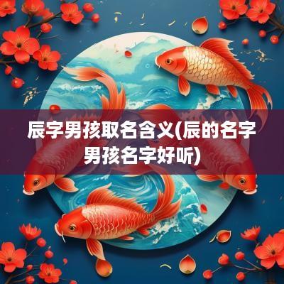 辰字男孩取名含义(辰的名字男孩名字好听)