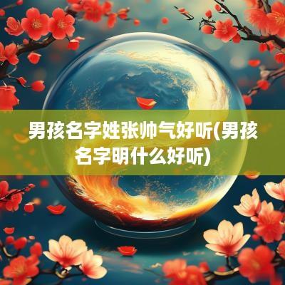 男孩名字姓张帅气好听(男孩名字明什么好听)