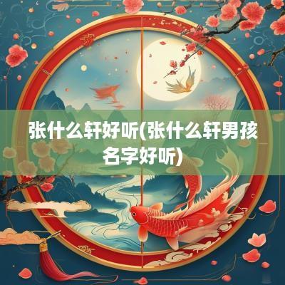 张什么轩好听(张什么轩男孩名字好听)