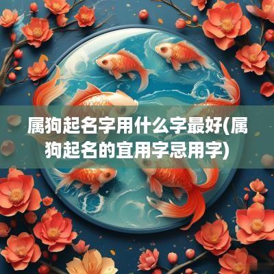 属狗起名字用什么字最好(属狗起名的宜用字忌用字)