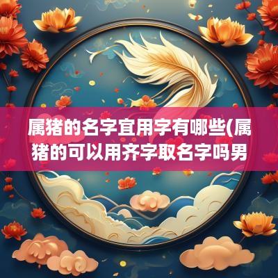 属猪的名字宜用字有哪些(属猪的可以用齐字取名字吗男孩)