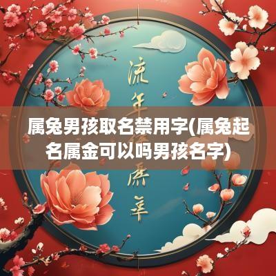 属兔男孩取名禁用字(属兔起名属金可以吗男孩名字)