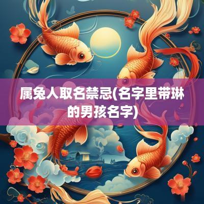 属兔人取名禁忌(名字里带琳的男孩名字)
