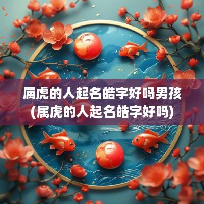 属虎的人起名皓字好吗男孩(属虎的人起名皓字好吗)