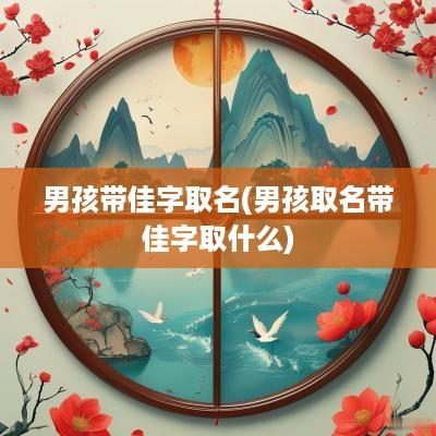 男孩带佳字取名(男孩取名带佳字取什么)