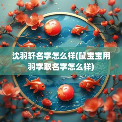 沈羽轩名字怎么样(鼠宝宝用羽字取名字怎么样)