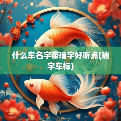 什么车名字带瑞字好听点(瑞字车标)
