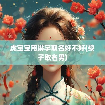 虎宝宝用琳字取名好不好(黎子取名男)
