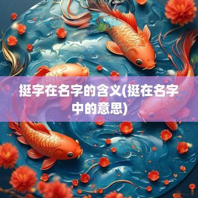 挺字在名字的含义(挺在名字中的意思)