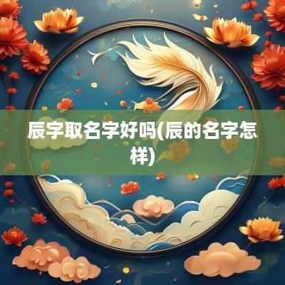 辰字取名字好吗(辰的名字怎样)