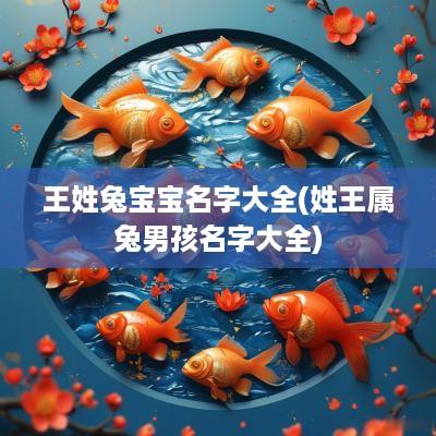 王姓兔宝宝名字大全(姓王属兔男孩名字大全)