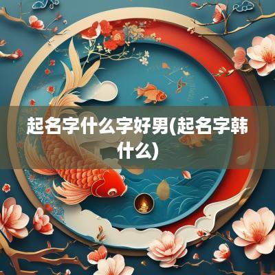 起名字什么字好男(起名字韩什么)