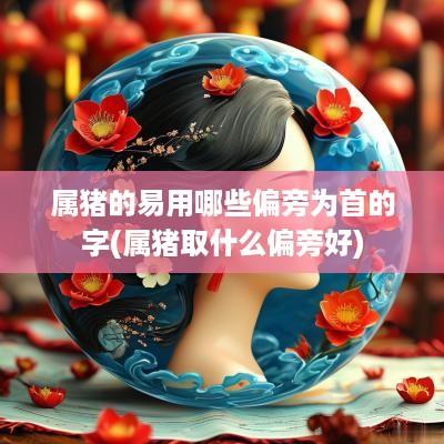 属猪的易用哪些偏旁为首的字(属猪取什么偏旁好)