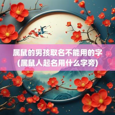 属鼠的男孩取名不能用的字(属鼠人起名用什么字旁)